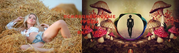 марки nbome Магас