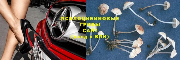 СК Магадан